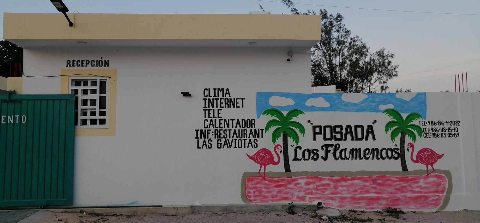 Posada Los Flamencos Las Coloradas Yucatan Yuluc 外观 照片